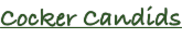 shapeimage_10_link_0